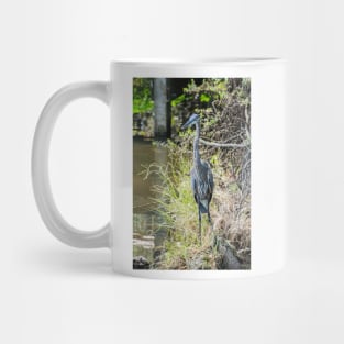 Great Blue Heron Mug